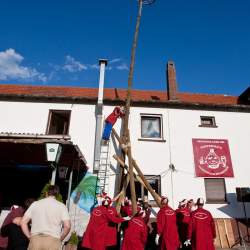 Kerb 2009 in Griesheim: Baumstellen am Donauschwabenhof